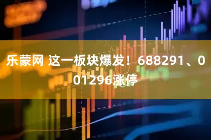 乐蒙网 这一板块爆发！688291、001296涨停