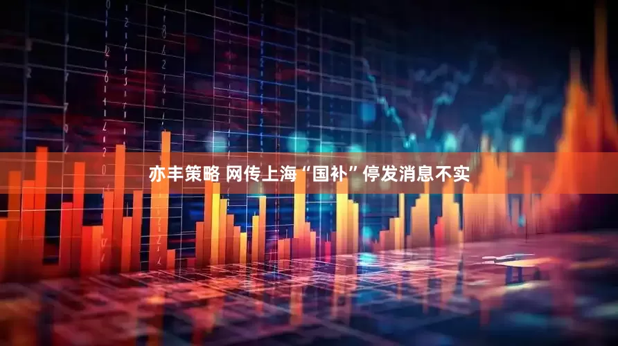 亦丰策略 网传上海“国补”停发消息不实