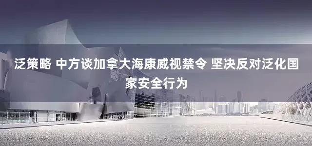泛策略 中方谈加拿大海康威视禁令 坚决反对泛化国家安全行为