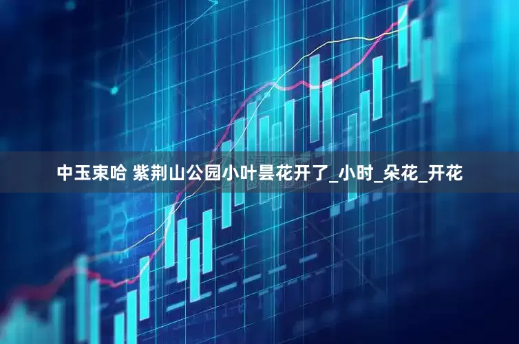 中玉束哈 紫荆山公园小叶昙花开了_小时_朵花_开花