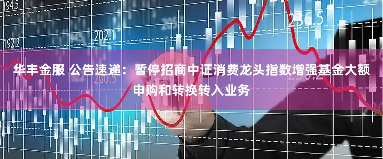 华丰金服 公告速递：暂停招商中证消费龙头指数增强基金大额申购和转换转入业务
