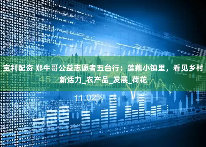 宝利配资 郑牛哥公益志愿者五台行：莲藕小镇里，看见乡村新活力_农产品_发展_荷花